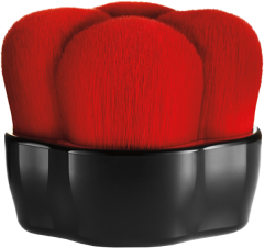 Shiseido Hanatsubaki Hake Polishing Face Brush